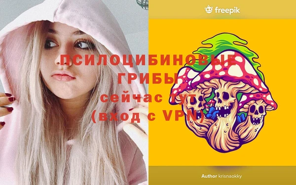 эйфоретик Балахна