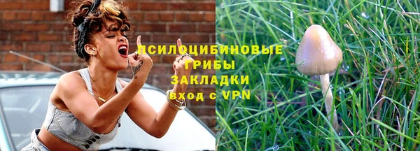 эйфоретик Балахна
