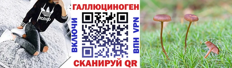 Псилоцибиновые грибы MAGIC MUSHROOMS  Купить закладки  Тихорецк 
